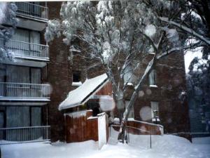 Snowflake Apartment 9 - 3 bedroom apartment